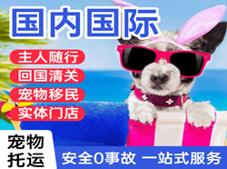甘南夏河空运国际宠物托运 【国